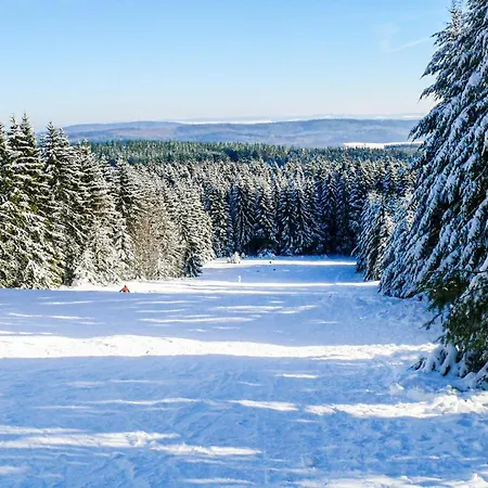 Дом отдыха Wolfsschlucht *